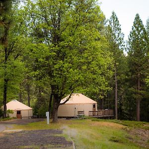 Yosemite Lakes Hillside Yurt 1